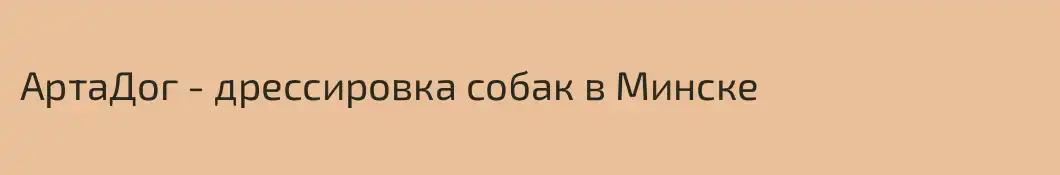 АртаДог - дрессировка собак в Минске 